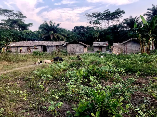 Habitations et végétation — Basankusu · 2025