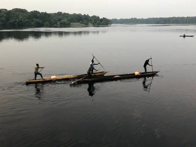 Navigation sur la rivière — Basankusu · 2025