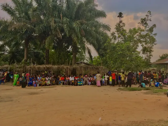 Rassemblement sous les palmiers — Congo · 2020